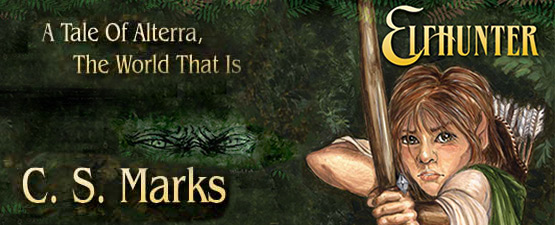 CS Marks - Elfhunter