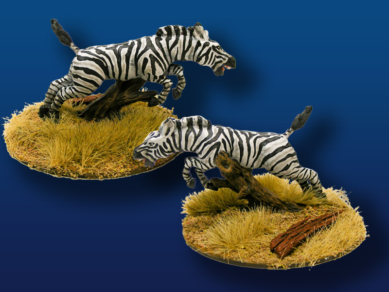 Zebra, Leaping (2)