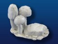 Mushroom Clumps Bundle