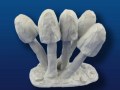 Mushroom Clumps Bundle