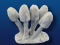 Mushroom Clumps Bundle