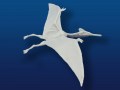 Quetzalcoatlus Flying
