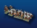 25mm Carthage...Spanish Mercenaries w/ Punic Command (17 Figs.)