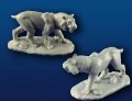 Smilodon_Populat_4fa3501563edb.jpg