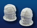 Large Olmec Head