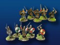 Viking Leaders w/ Swords & Shields (4)