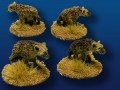 Hyenas    (6)